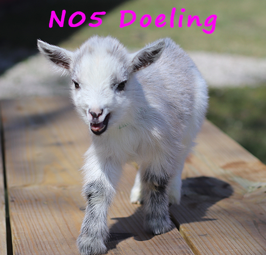 n05