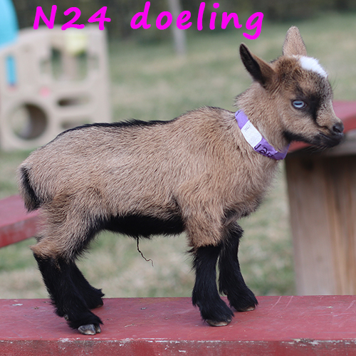 n24