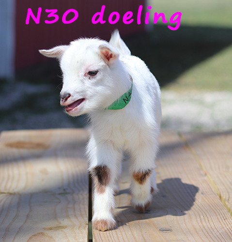 n30